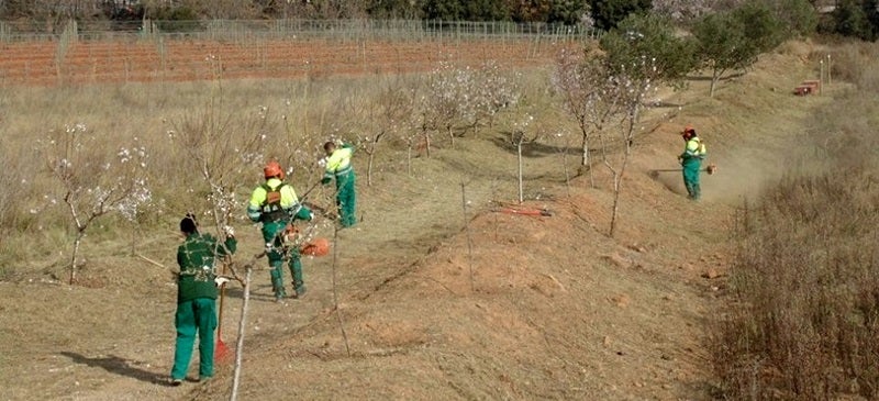 Foto portada: treballadors d'un pla d'ocupació. Autor: Ajuntament. 