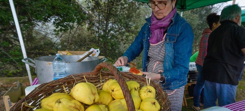 Foto portada: un moment de l'anterior edició. Autor: J.L.Lai. 
