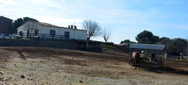 Ca n'Alzina. Autor: David B.