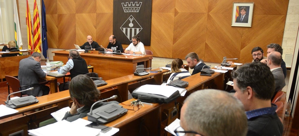 Un moment del ple, aquest dijous. Autor: David B. 