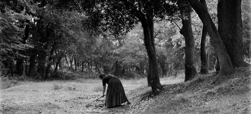 Rasclonant en el Pla de la Font. Any 1906. Joan Vilatobà. MAS