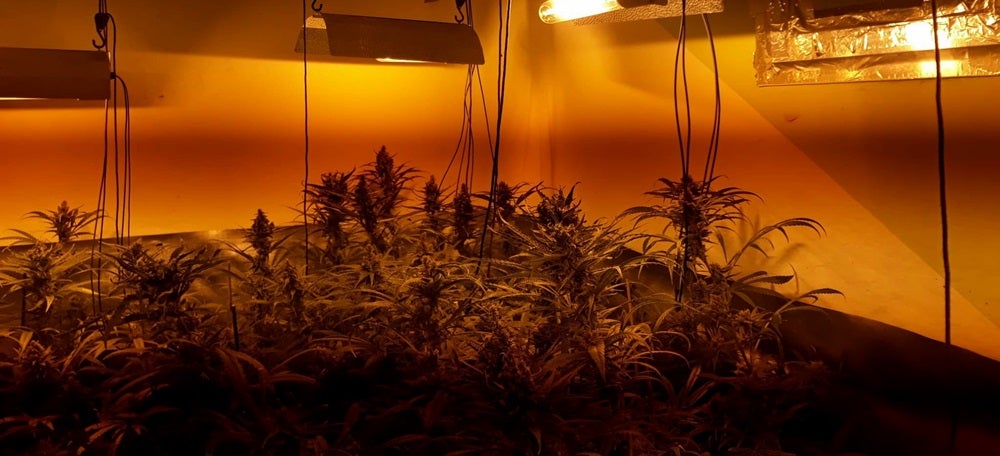 Foto portada: el magatzem. Autor: ,@policiasabadell via Twitter. 