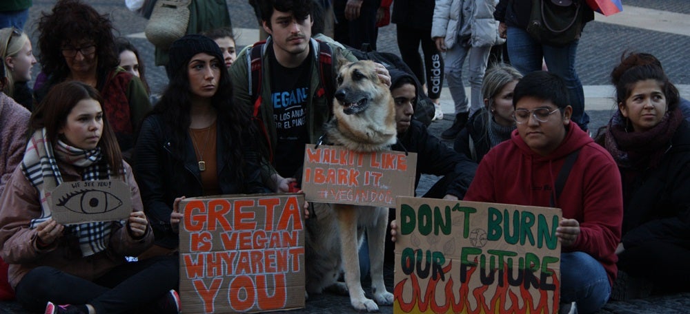 Pla mitjà d'alguns participants de la seguda convocada per Fridays For Future a plaça Sant Jaume davant la inacció de la COP25, el 13 de desembre de 2019 (Horitzontal)