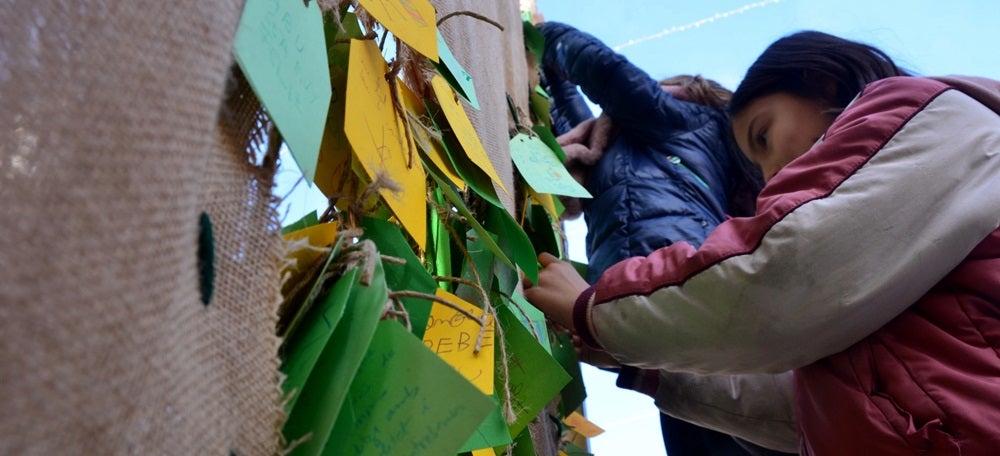 Parc de Nadal. Autor: David B.