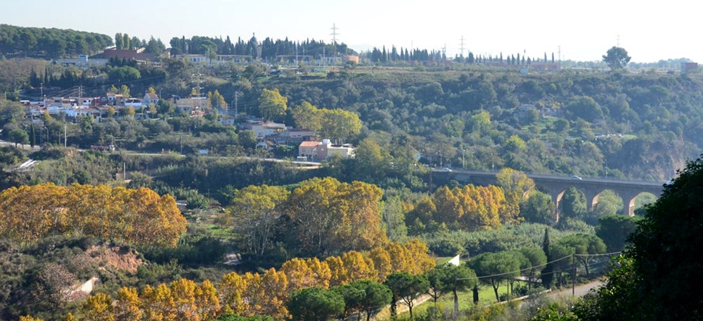 Riu Ripoll - La Salut. Autor: David B.