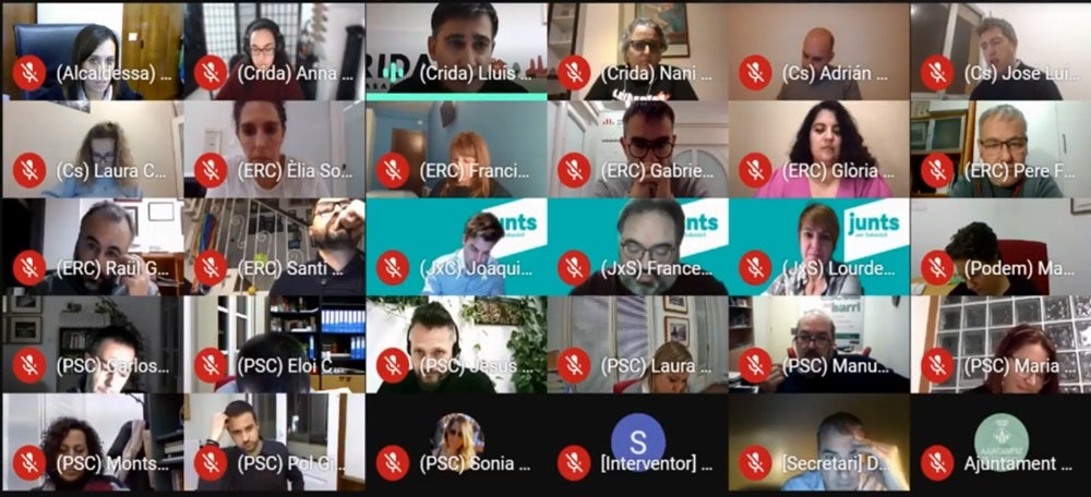 Foto portada: una captura del ple telemàtic de gener de 2021.