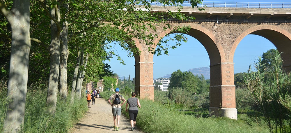 Llibreria Paes. Autor: David B.