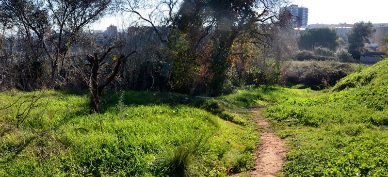 Foto portada: un dels camins per darrere del Joaquim Blume. Autor: David B.