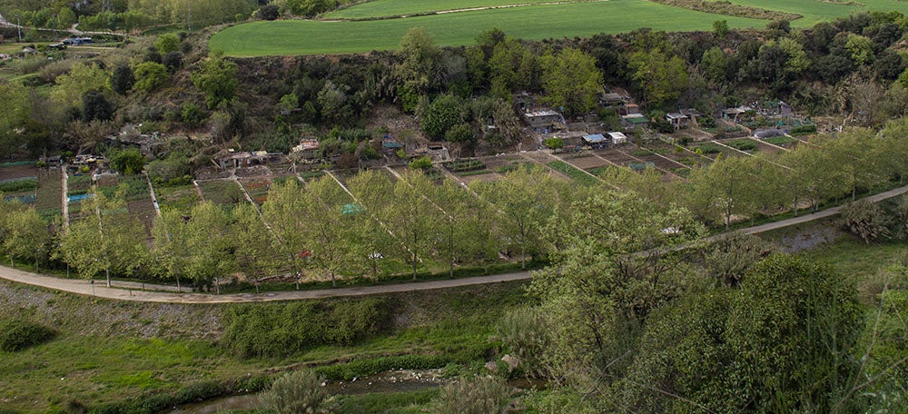 Foto portada: el riu Ripoll, al Rodal, el 15 d'abril de 2021. Autor: M.Centella. 