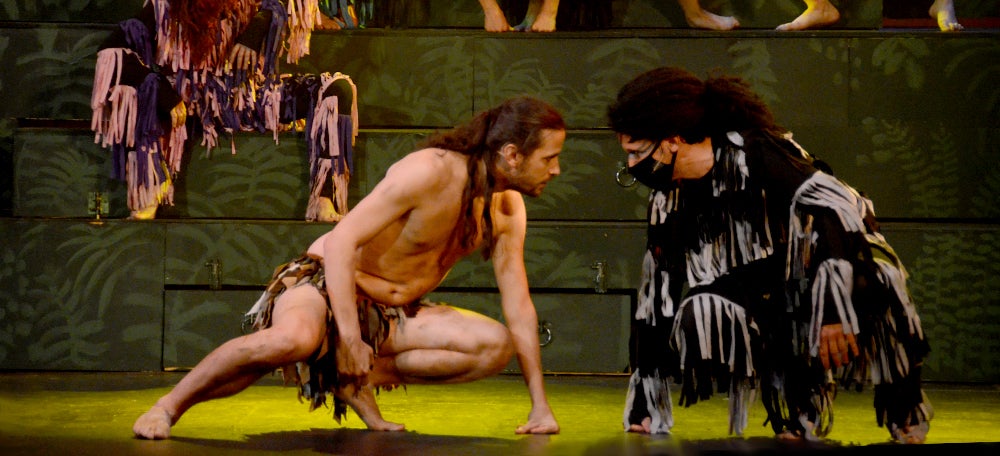 Tarzan. Autor: David B.