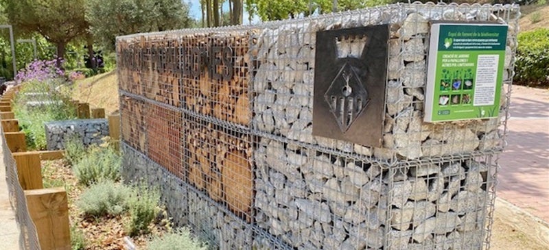 Foto portada: una imatge del jardí de papallones. Autor: Ajuntament / cedida. 