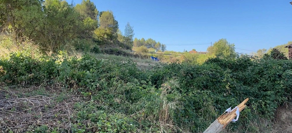 Foto portada: La zona del crim de Sant Vicenç de Castellet. Al centre de la imatge, es veu el tendal blau que posen els Mossos per preservar l'escenari dels fets / Q.S
