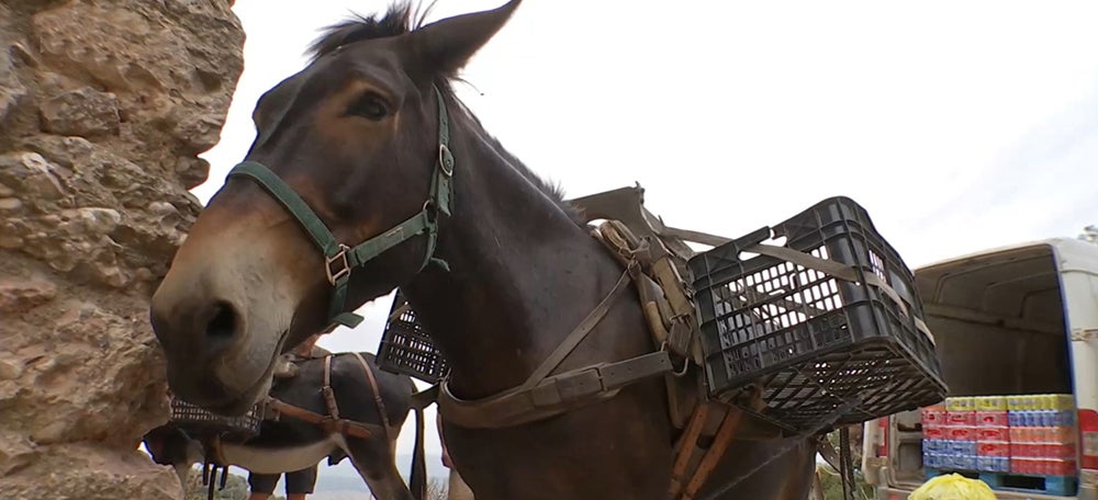 Fotograma d'un video de tv3