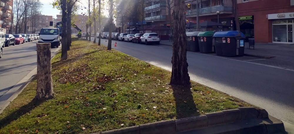 Foto portada: arbres de la Ronda d'Europa, a Can Llong. Es van talar al desembre i ara es plantarà una altra espècie. Autor: J.d.A.