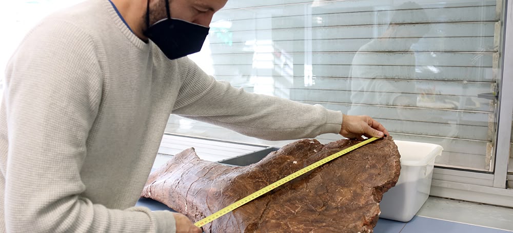 Membres de l'ICP. Autor: cedida.