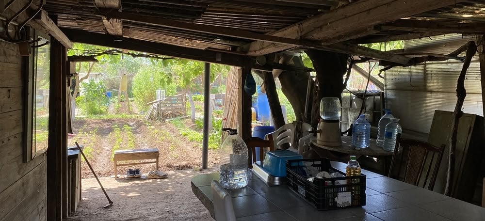 Una barraca dels horts del Ripoll, aquest dissabte. Autora: J. Ramon