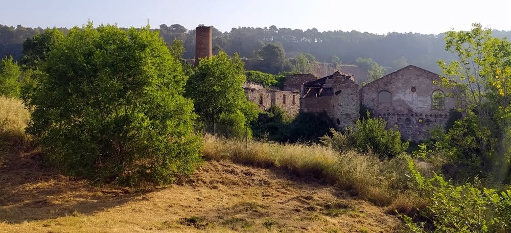 El molí d'en Font, des de la font del Canyar. Autor: J.d.A.