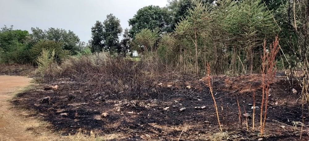 Foto portada: l'incendi a l'exterior del castell de Can Feu. Autor: cedida. 