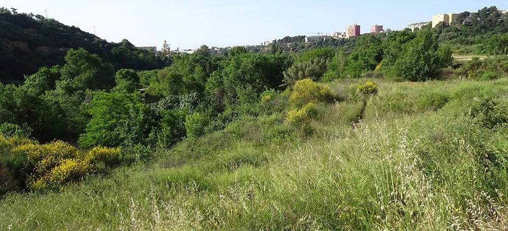 espai on s'ha d'instal·lar la piscina de surf