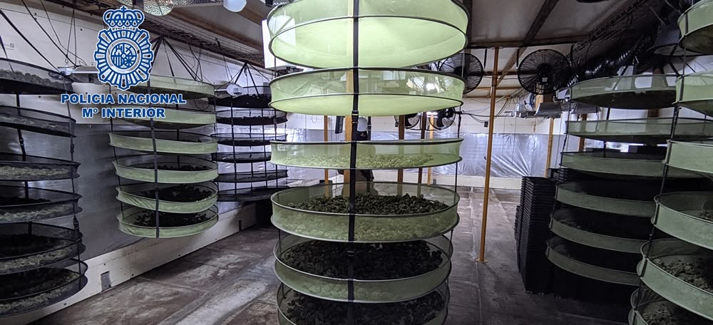 Foto portadas: algunes de les estructures localitzades en una nau industrial de Barberà. Autor: ACN. 