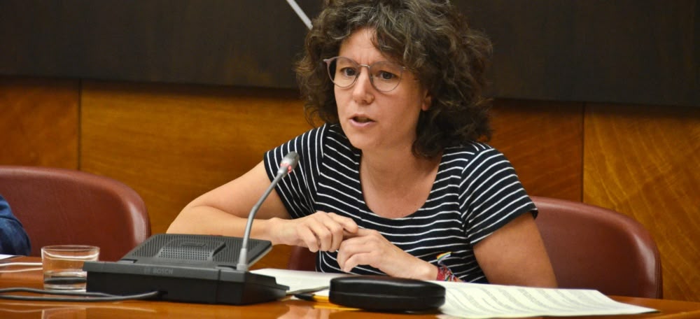 Un moment del ple municipal del mes de juny de 2022. Autor: David B.