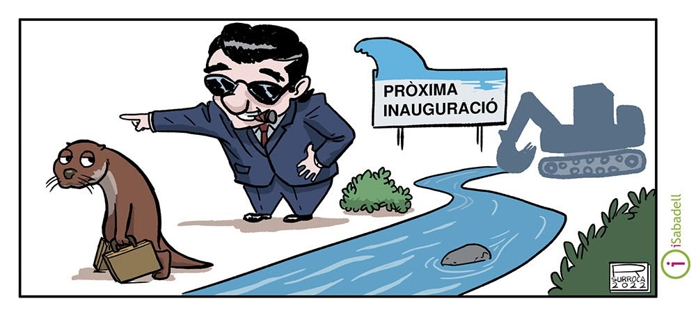 'La primera llúdriga al Ripoll' (3/7/22). Autor: R. Surroca 