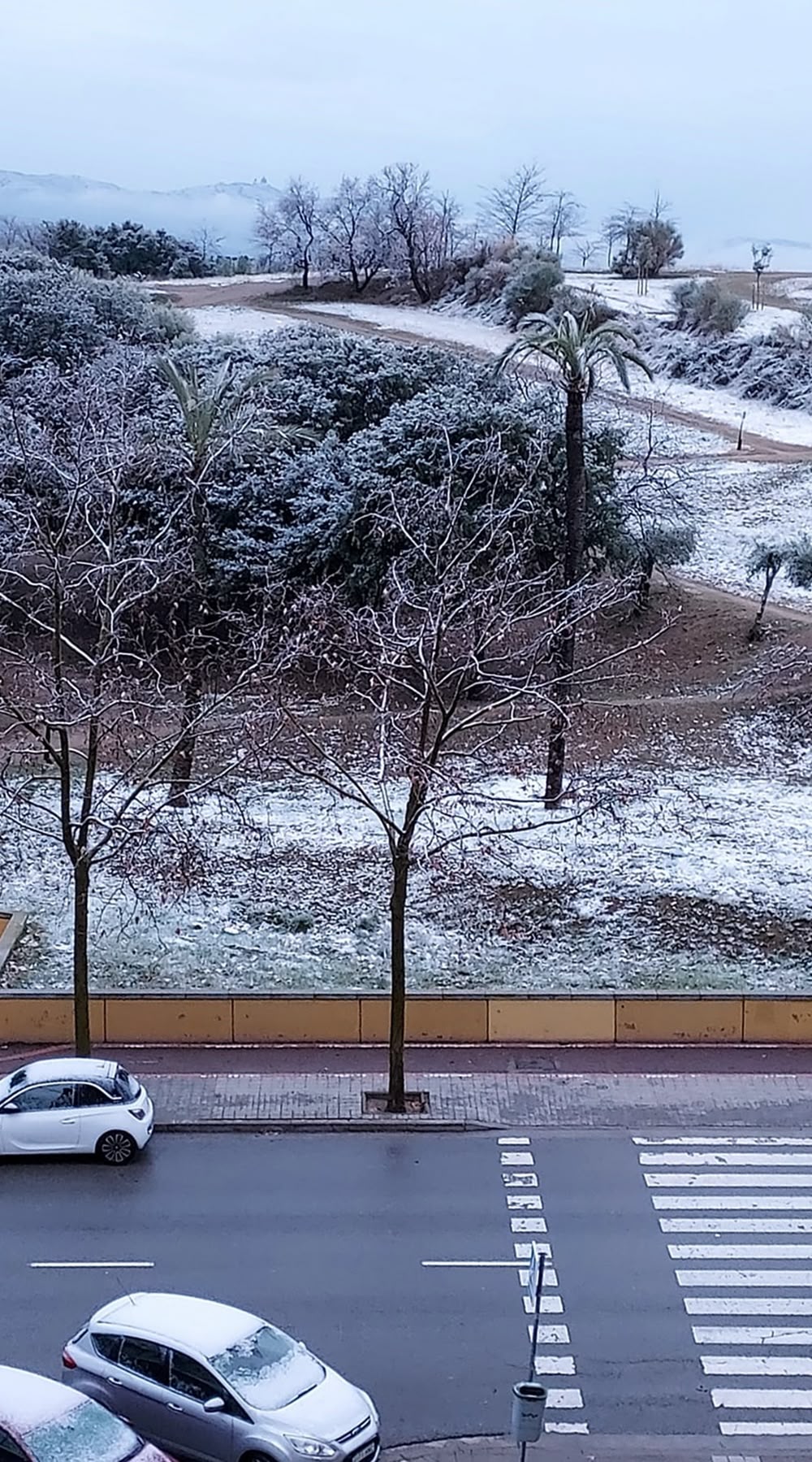 Font: Marivi Portales via Facebook