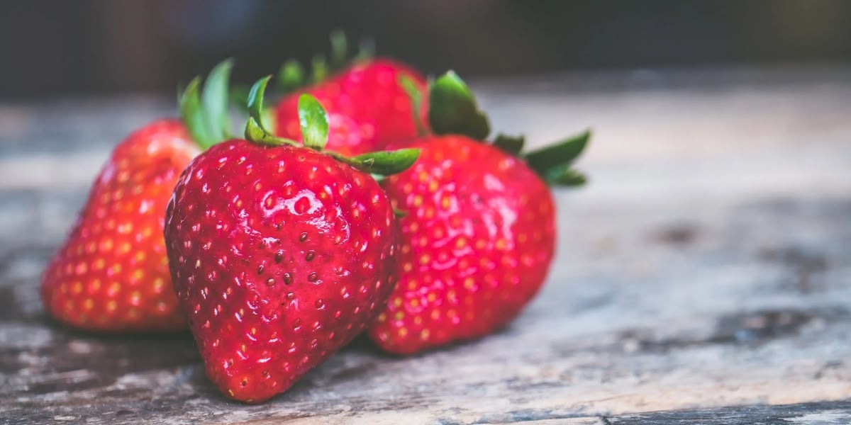 Foto portada: cedida.