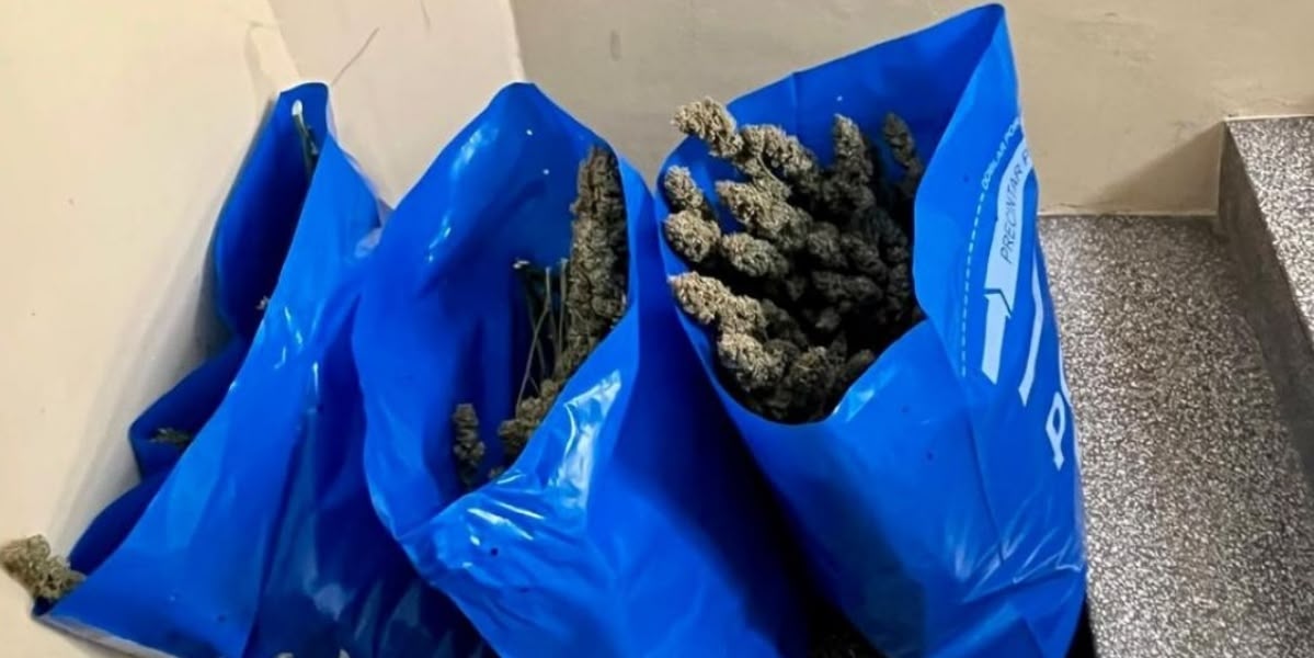 Foto portada: el material intervingut. Autor: @policiasabadell. 