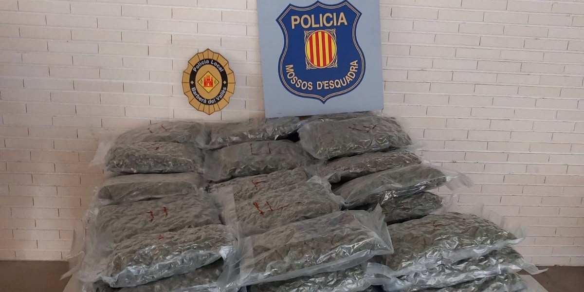 Bosses de marihuana, Barberà. Autor: cedida.