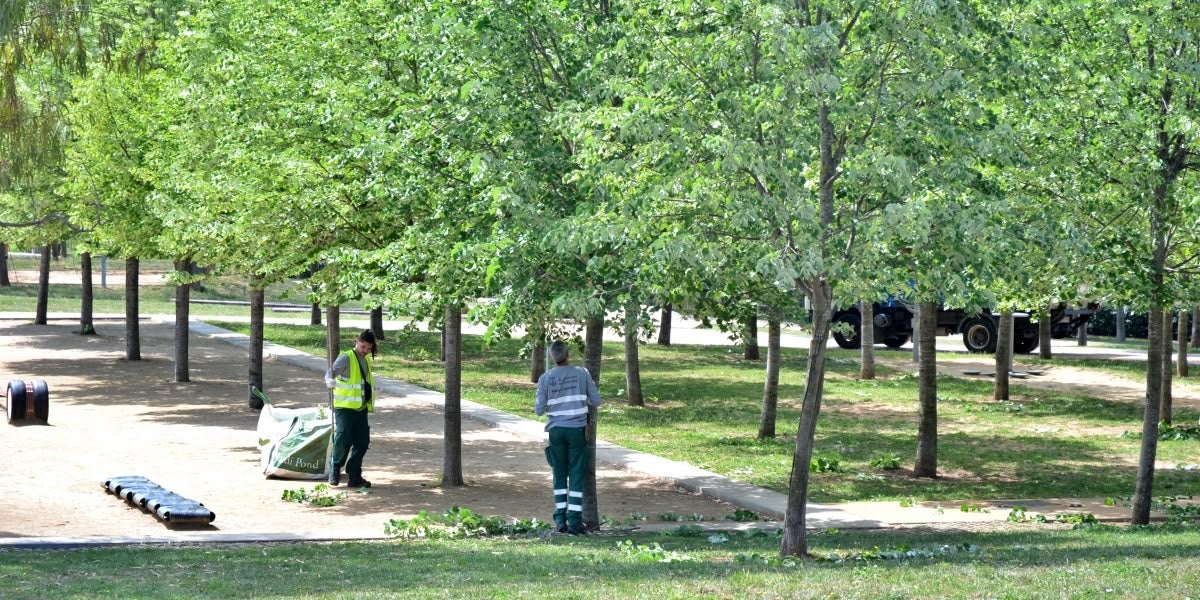 El Parc de Can Gambús, al maig de 2023. Autor: J.d.A. 