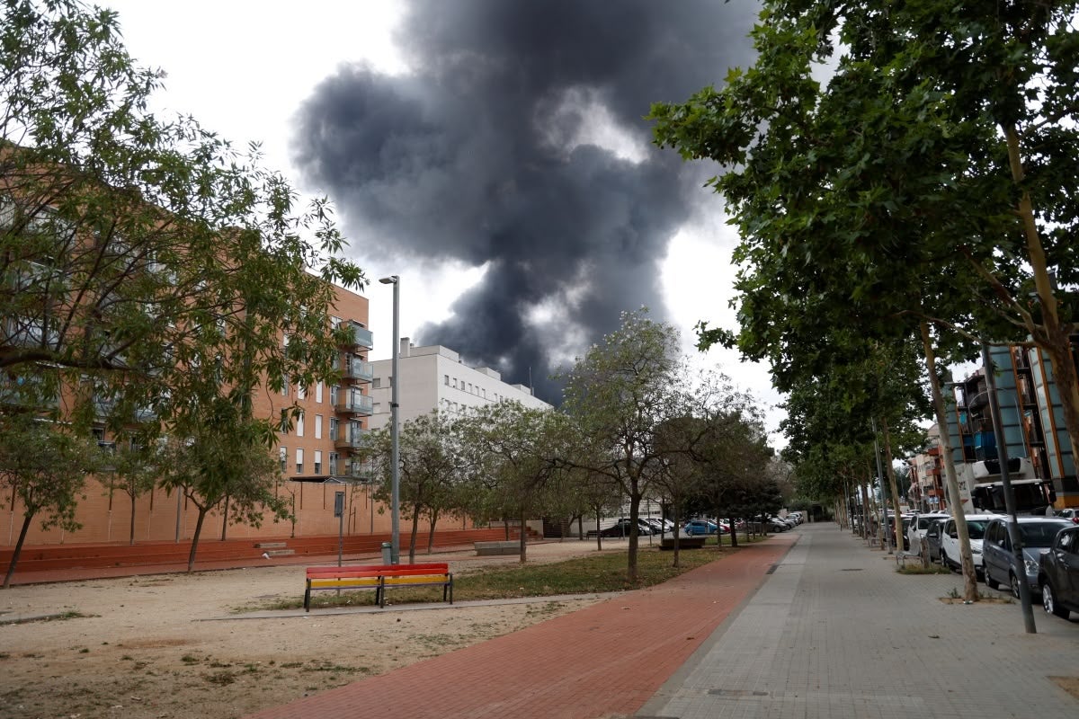 Foto: David Jiménez