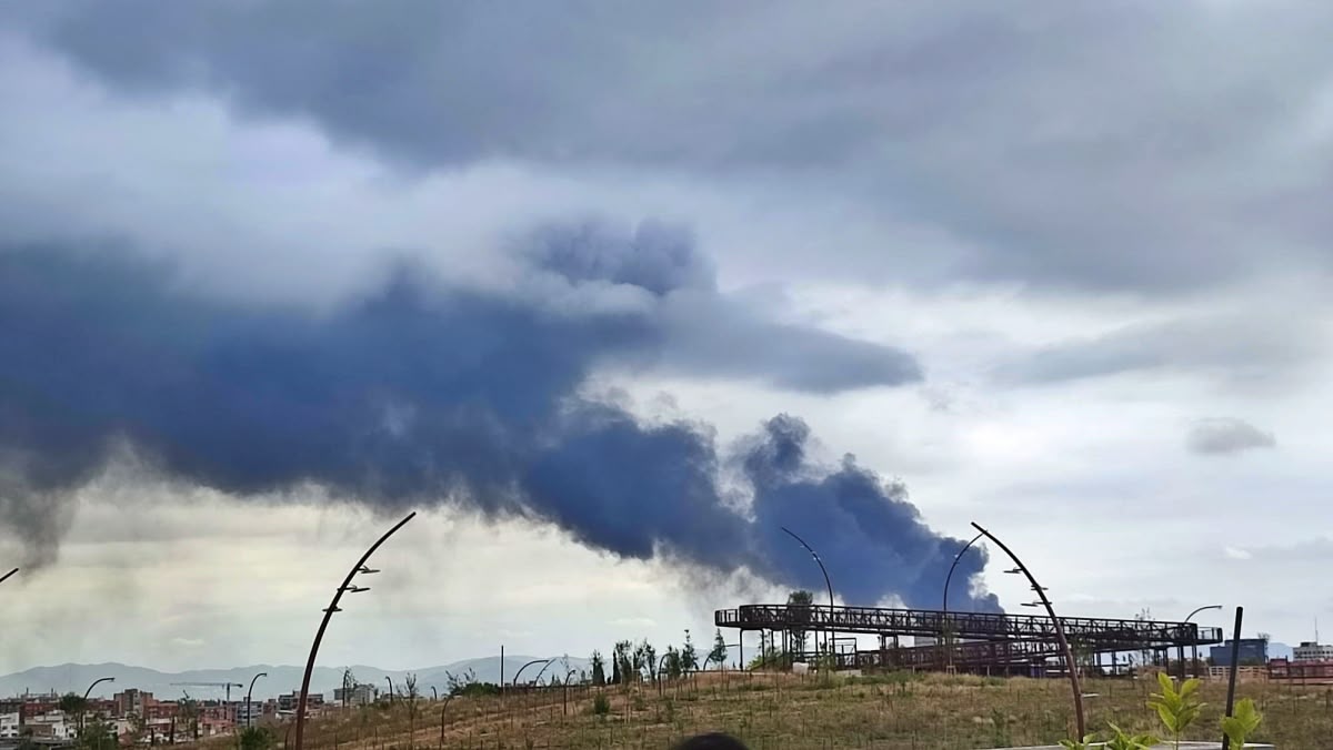 Foto: N.d.A / cedida.