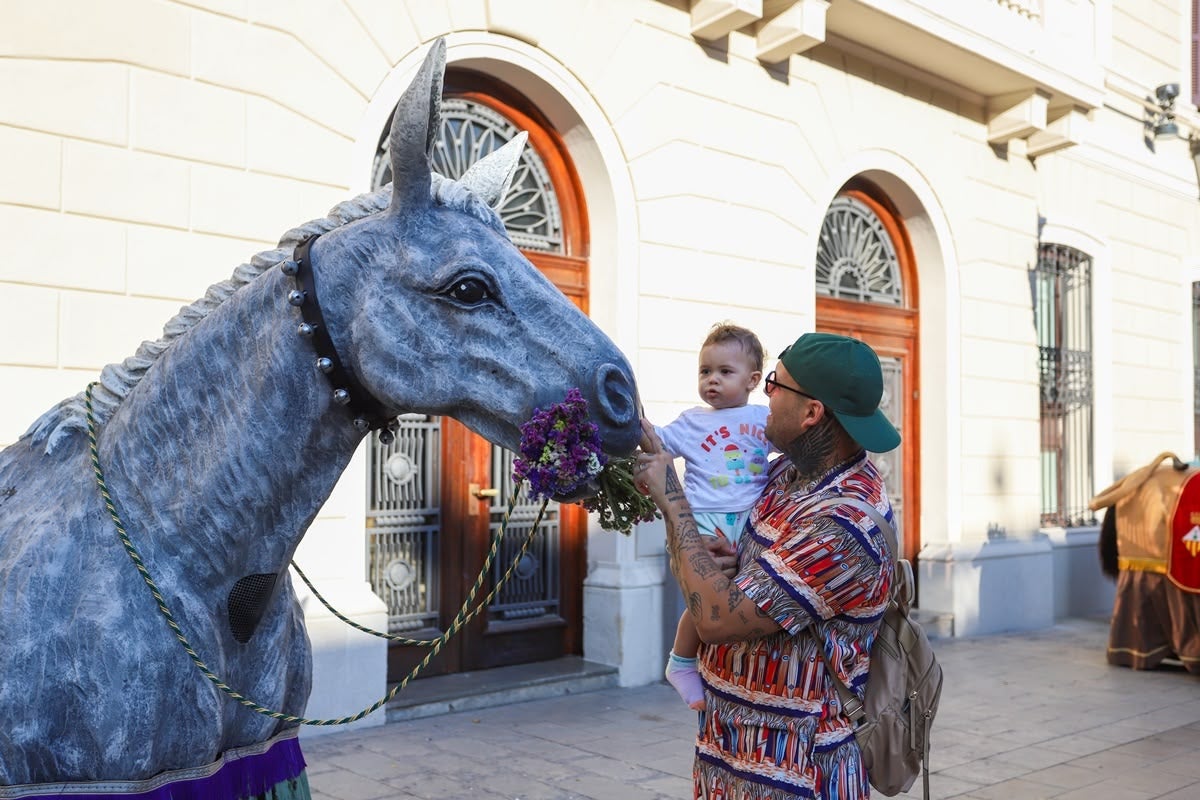 Autora: Alba Garcia Barcia.