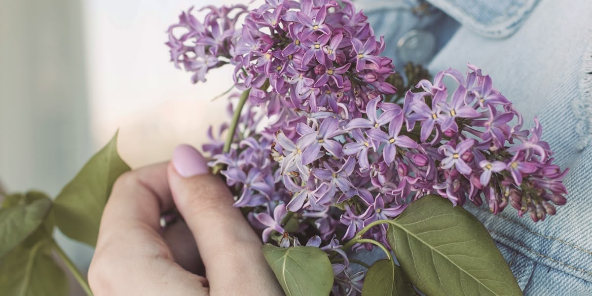 Torra Serveis Funeraris