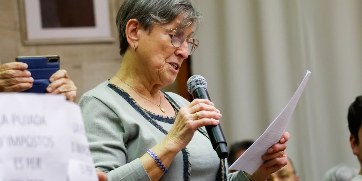 La representant de la FAV, Encarnació Circuns, al ple. Autor: David Jiménez.