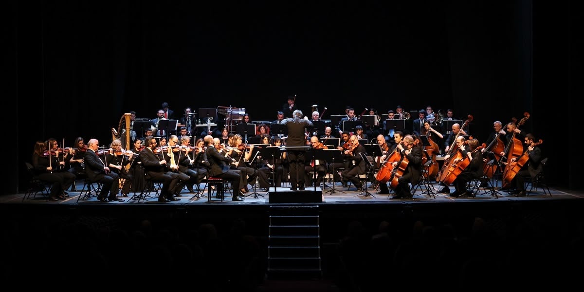 Els músics de l'OSV, des de la platea. Autora: Alba Garcia.