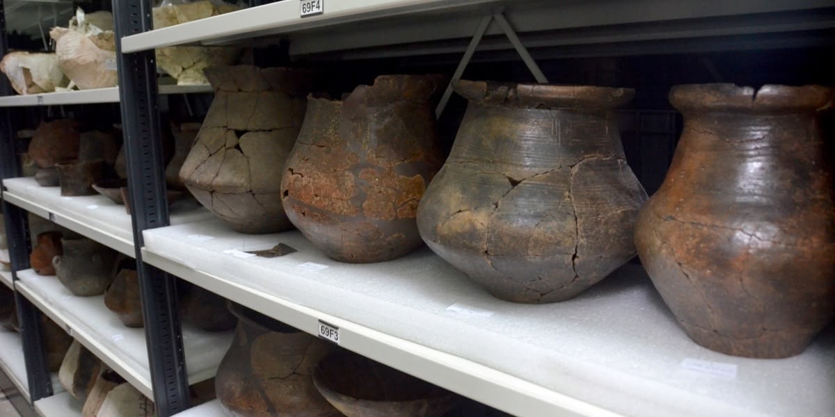 Foto portada: ceràmiques al magatzem del carrer d'Agricultura del Museu d'Història, el febrer de 2022. Autor: David B.