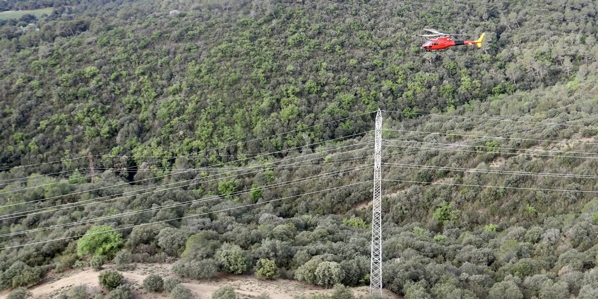 Un helicòpter sobre els boscos de Torrebonica. Autor: ACN.