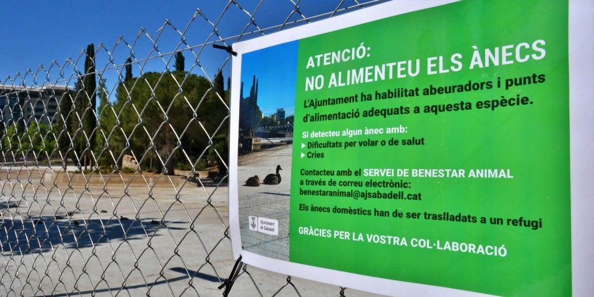 Tanques exteriors al llac gran del parc de Catalunya. Autor: J.d.A.