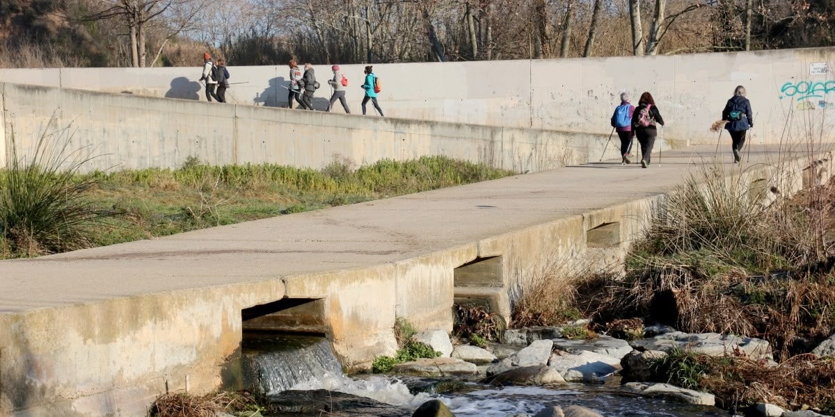 Una de les passeres del riu Ripoll, en una imatge d'arxiu. Autor: ACN