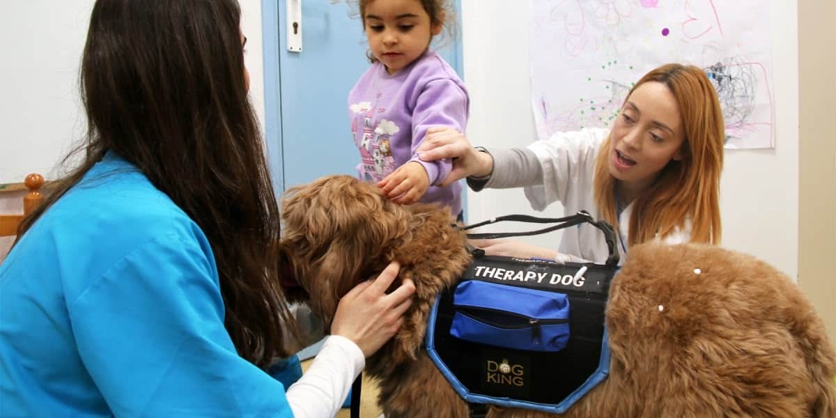 Teràpies assistides amb gossos al Taulí. Autor: cedida.