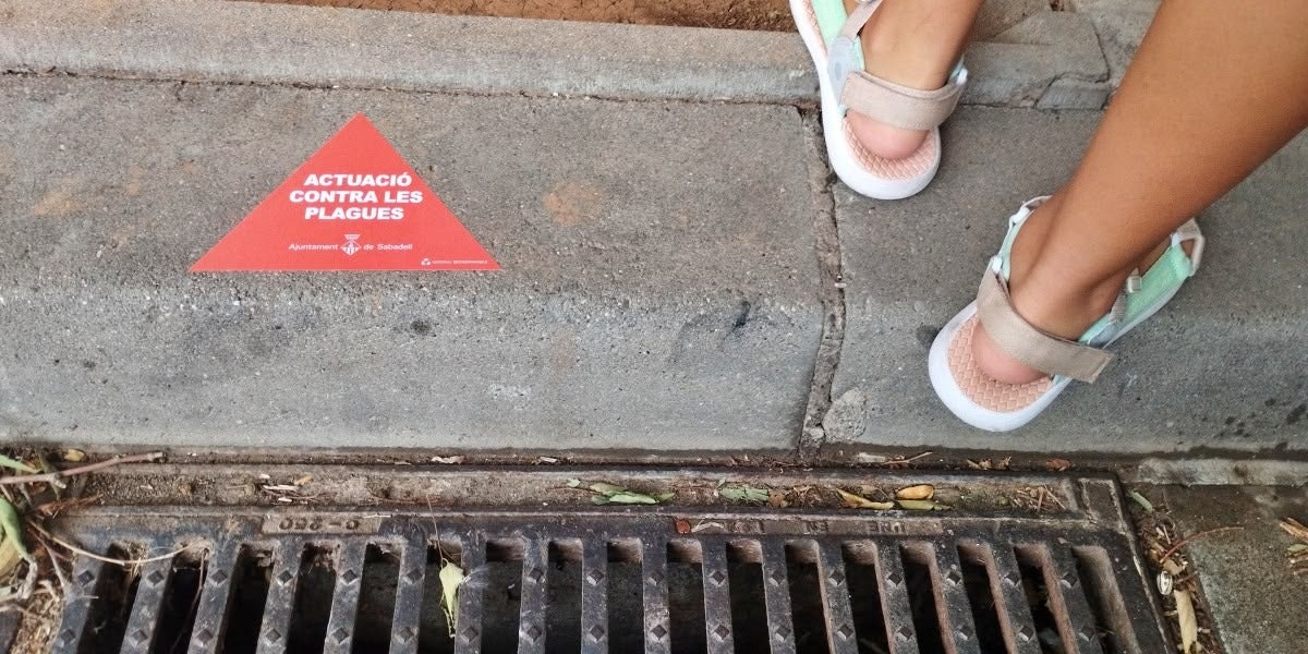 Enganxina en una tapa de claveguera, a Can Llong. Autor: J.d.A.