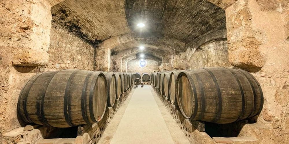 Foto portada: botes de vi a la Casa Duran. Autor: cedida.