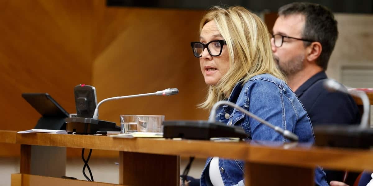 La regidora d'ERC Sílvia Renom demana moure el 'photocall' del Llaminer per reforçar la FANSA. Autor: D.J. 