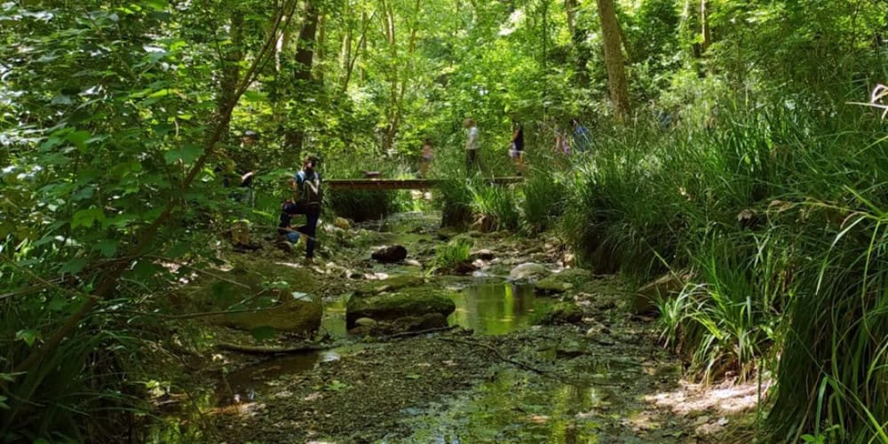 Foto portada: el Torrent de Colobrers, el 30 de maig de 2021. Autor: J.d.A.