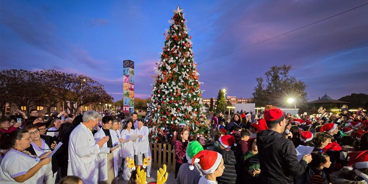 Foto de portada: Arbre de Nadal del Taulí. Autor: Cedida