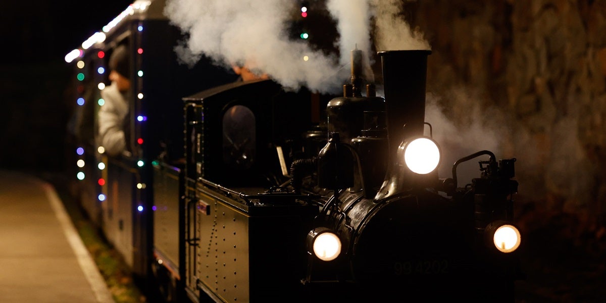La cartera reial al trenet. Autor: David Jiménez.