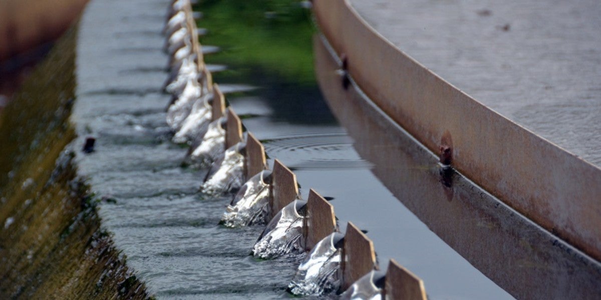 Foto portada: l'EDAR Riu-Sec, que gestiona Aigues Sabadell, el 30 de juny de 2020. Autor: David B.