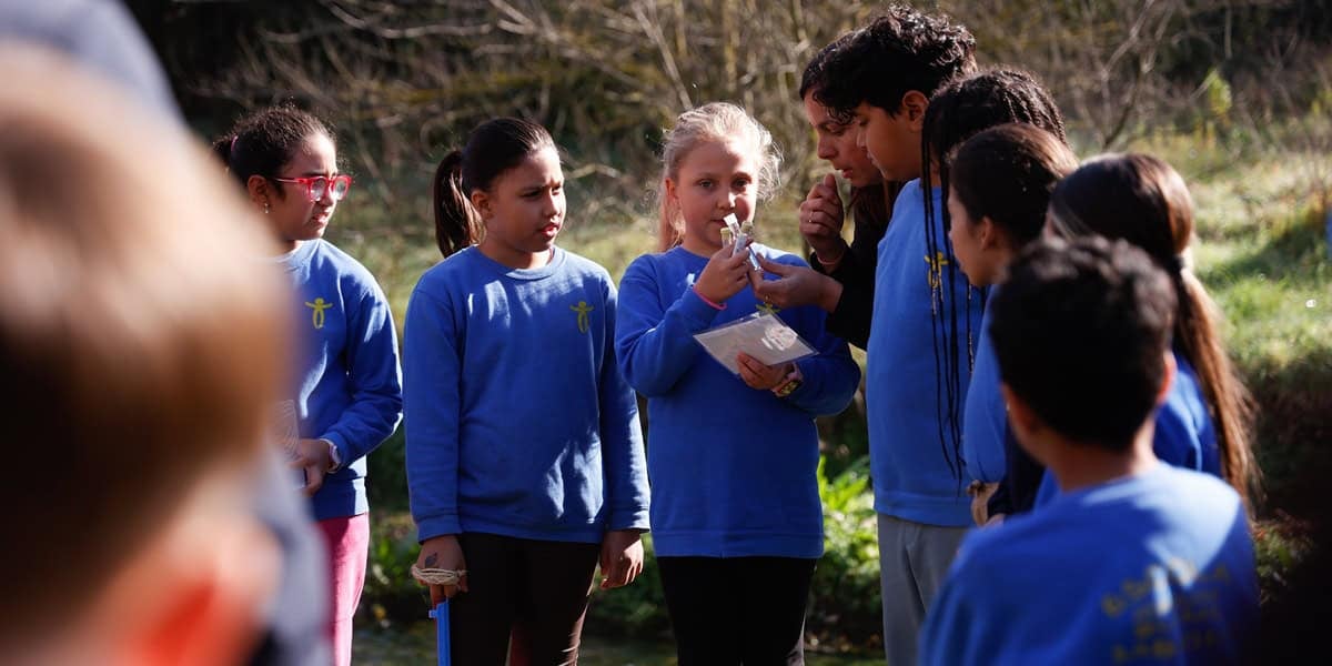 Mostra de pH del Ripoll. Autor: David Jiménez